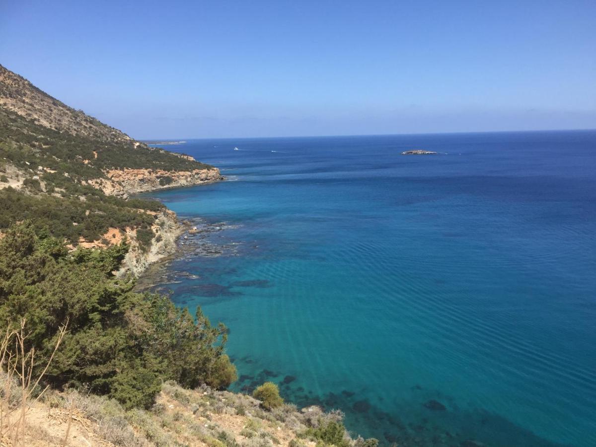 Beach Villa Gladiolus Нео Хорио Екстериор снимка